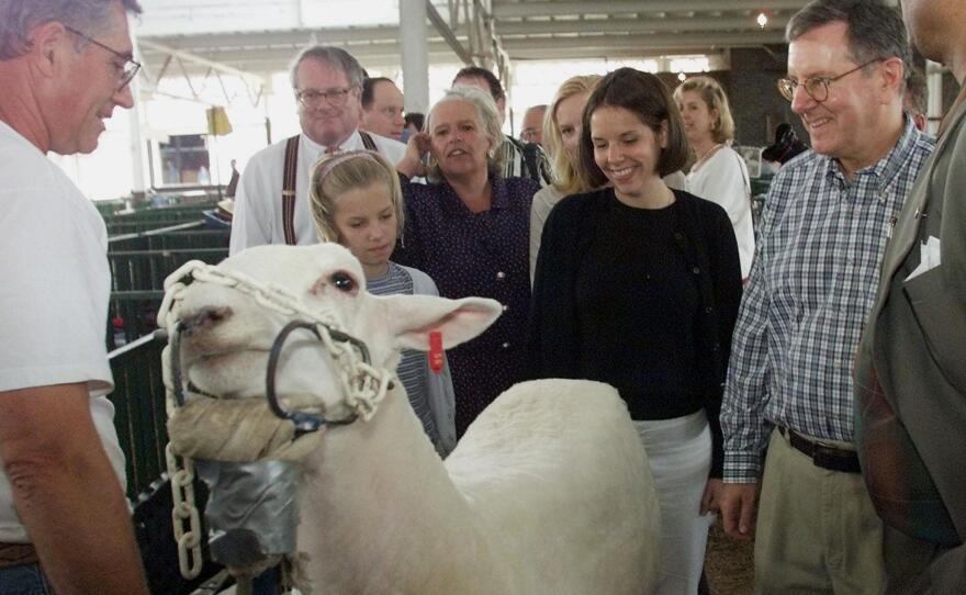 1999 Republican presidential candidate Steve Forbes and a sheep at the state fair, accompanied by his wife and daughters.
