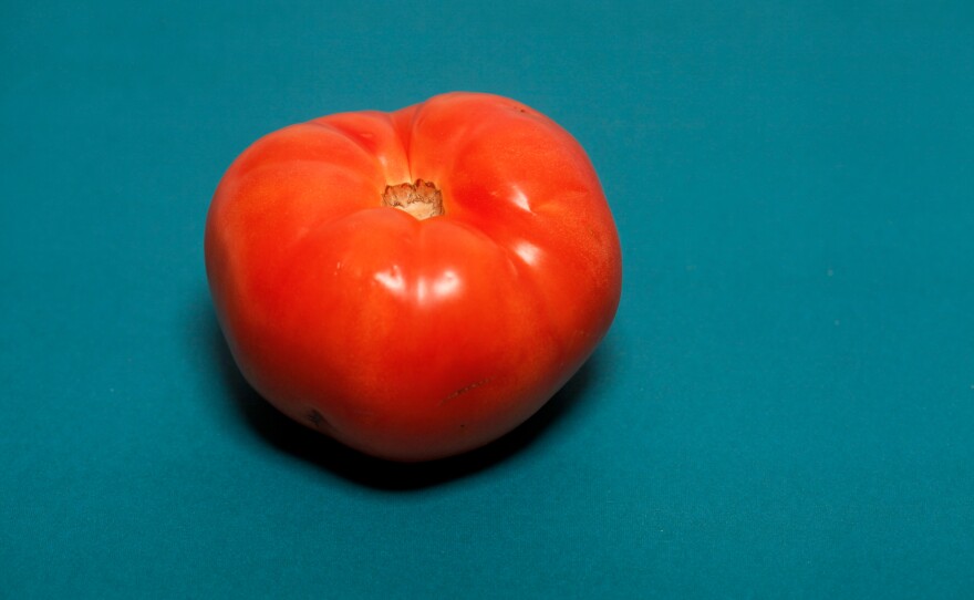 Florida tomato