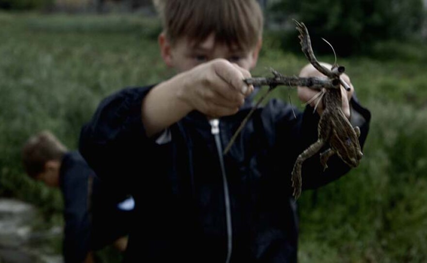 Oleg catches a frog. Follow the life of 10-year-old Ukrainian boy Oleg over a year and witness the gradual erosion of his innocence beneath the pressures of the ongoing war in Eastern Ukraine.