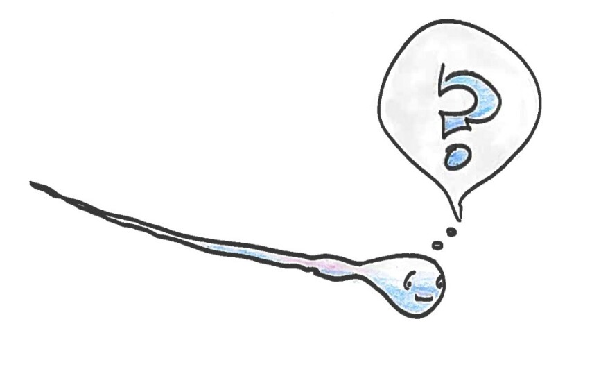 Sperm with a question.