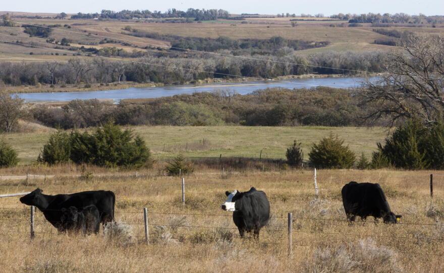 This 2010 photo shows the Sandhills in north central Nebraska. Independent candidate Dan Osborn, who's running for U.S. Senate, recently held a series of meet and greets and town halls in the Sandhills, trying to form a broad coalition of Republicans and Democrats alike.