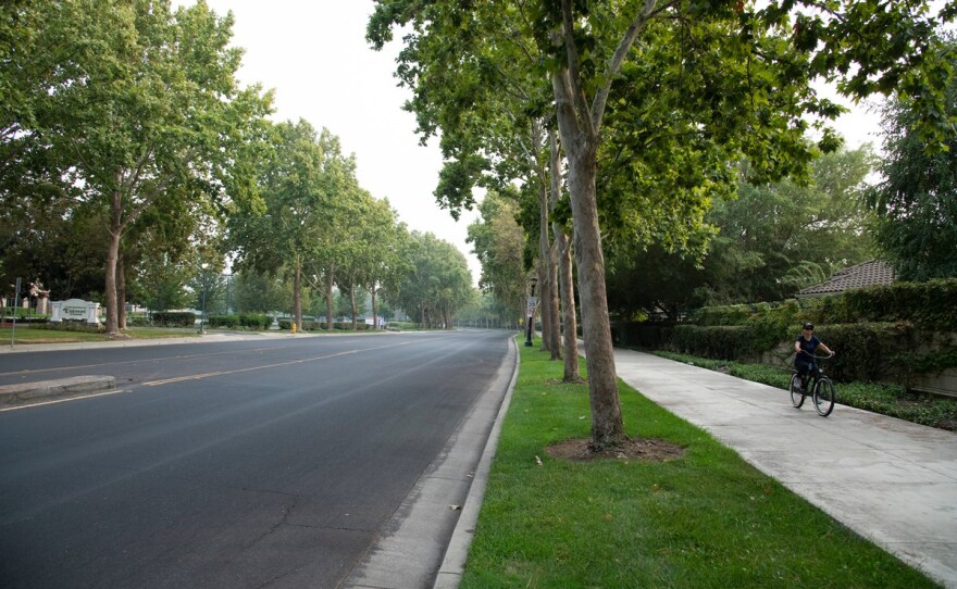 A neighborhood in North Stockton is lined with trees. Neighborhoods in South Stockton tend to have more heat islands and pollution than North Stockton is shown in this undated photo.