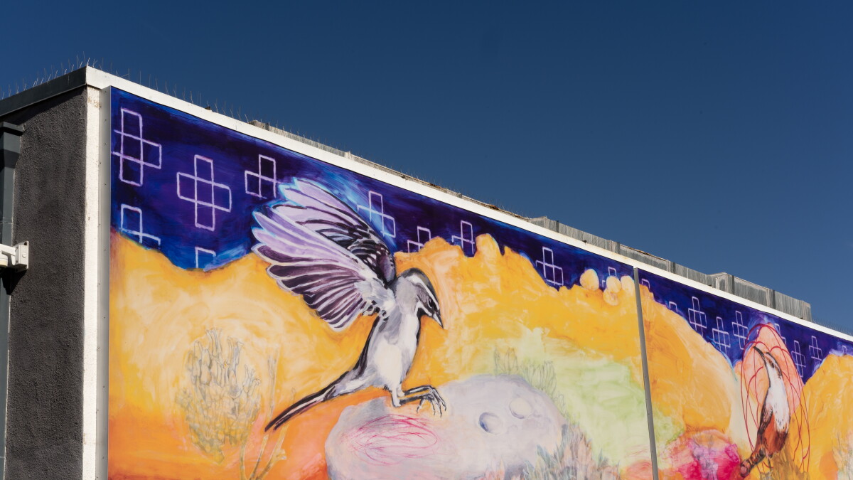 This La Jolla mural is 'the first public display' of Kupa language - Vimarsana News