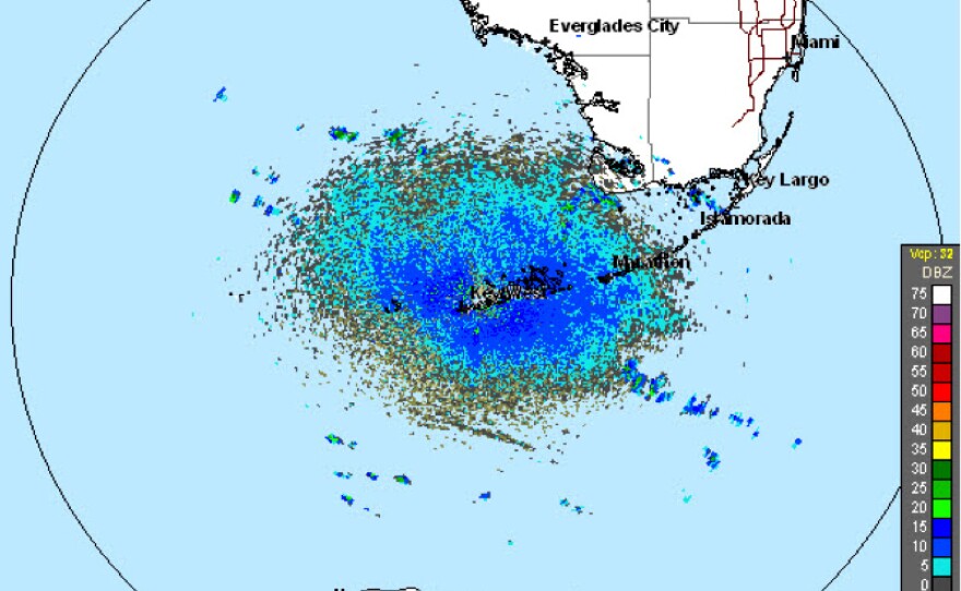 This radar map shows northern and southern bird migrations near Cuba on April 18, 2012. Birds moving north are highlighted in blue.