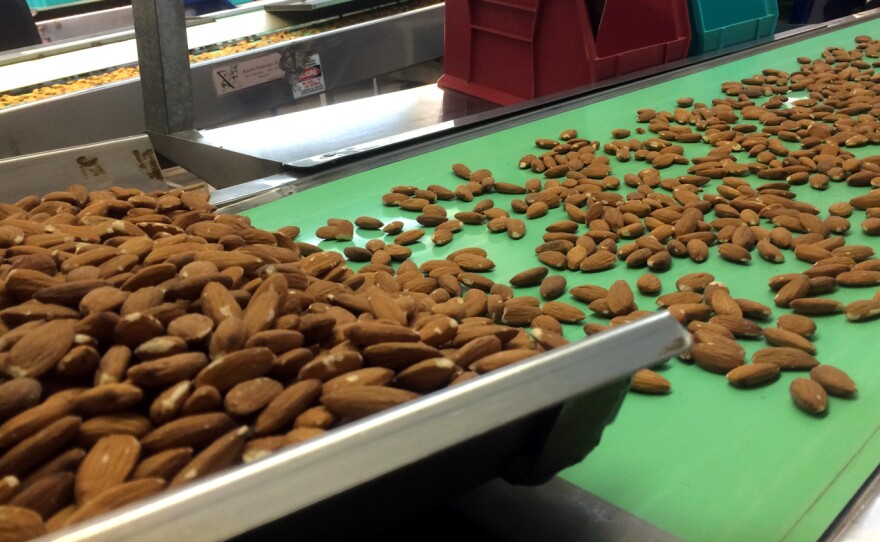 In 2015 more than 1.8 billion pounds of almonds were processed in California.