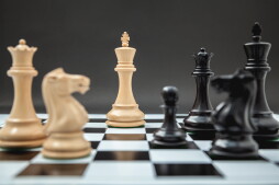 Black and White King and Knight of chess