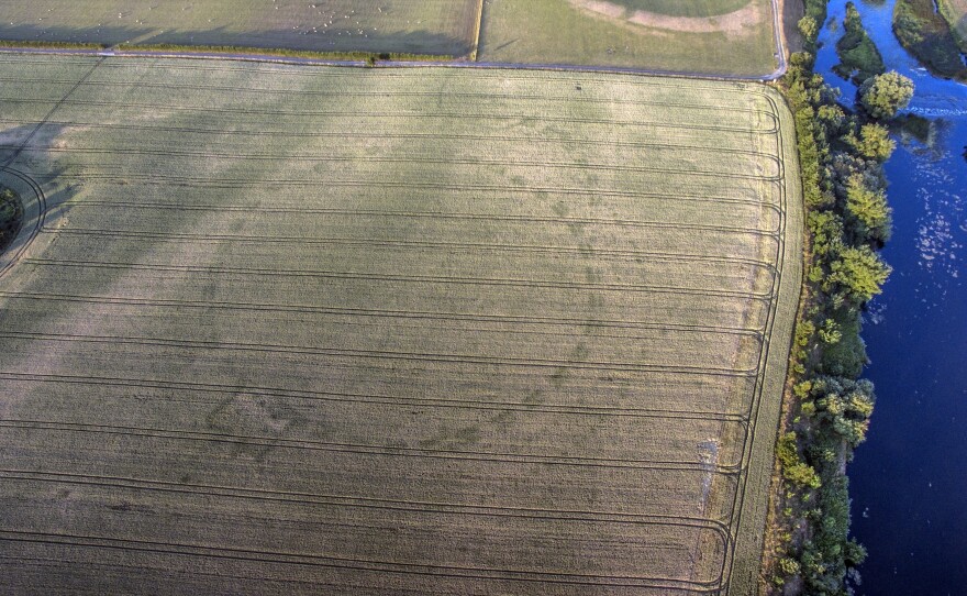 Drone footage captured by Anthony Murphy shows the outline of an ancient henge, visible in the pattern of crops grown in a field near Newgrange, Ireland.