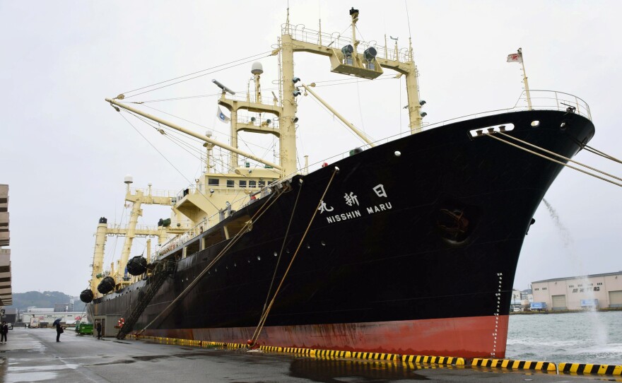 The Nisshin Maru, mother ship in the Japanese whaling fleet, returns to port in southwestern Japan on Friday.