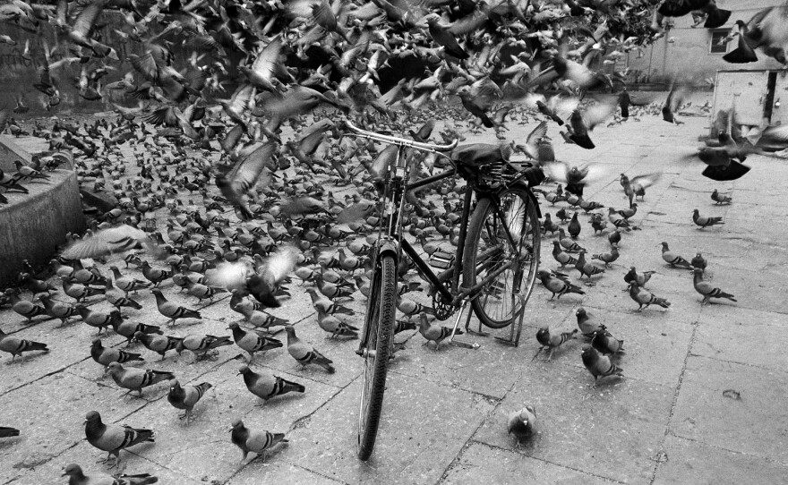 Jaipur, Rajastan, India, 1999.