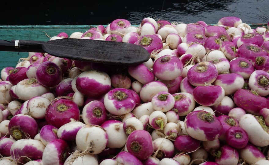 Turnips are one of the main winter vegetables traded at Dal Lake's floating market.