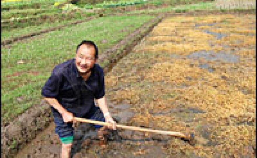 Li Shi Long rakes the mud with a hoe to ready a patch of land for rice planting. He welcomes tourists.