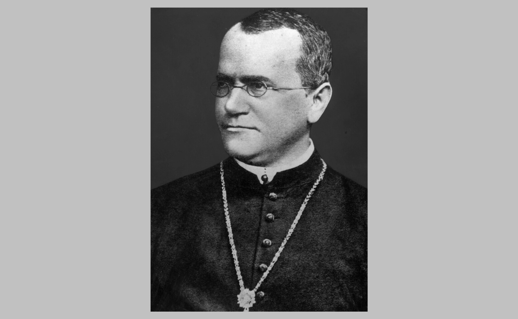 Why Scientists Dug Up The Father Of Genetics Gregor Mendel And why-scientists-dug-up-the-father-of-genetics-gregor-mendel-and