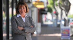 Rep. Susan Davis, D-San Diego, in an undated campaign photo.