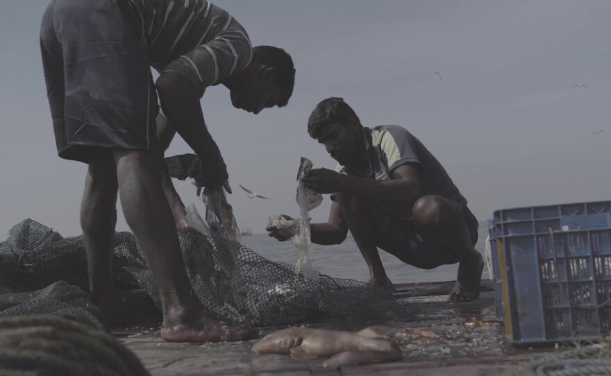 Rakesh on his small fishing boat examining his sparse catch.