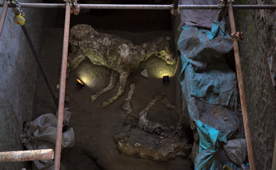 Using the technique developed more than 150 years ago by Pompeii’s then-director of excavations, Giuseppe Fiorelli, the excavation team filled a void in the ash layer with plaster, and made a perfect cast of a horse.