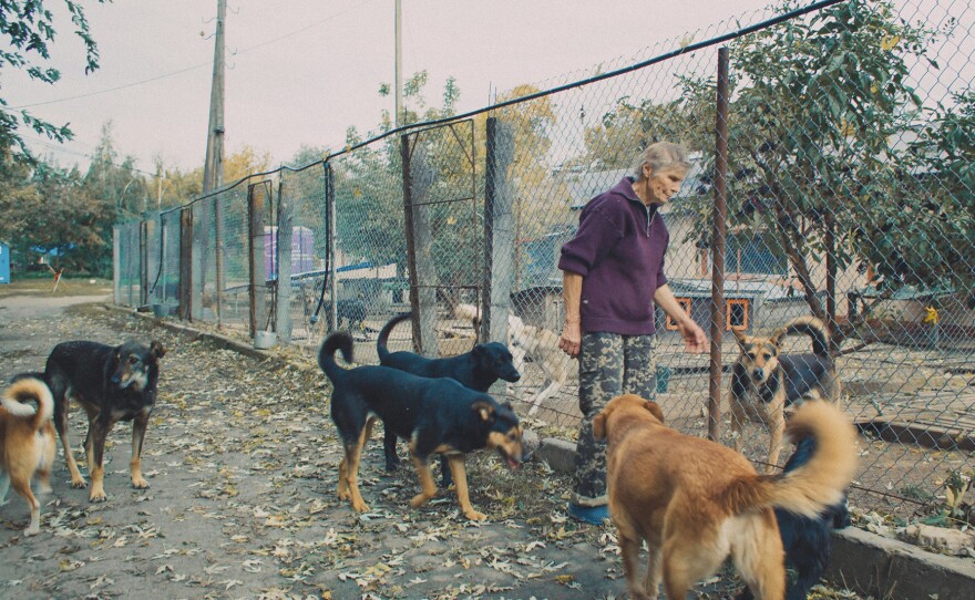 Asya Serpinska, animal rights activist, makes her rounds at the Society for the Protection of Animals shelter near Hostomel, Ukraine.