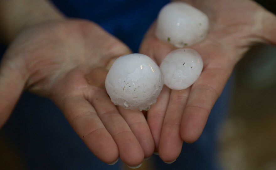 Mindy Rump holds golf ball-size hailstones following a severe thunderstorm in Blair, Neb. Across the central and eastern parts of the country, weather conditions that can produce hail that's at least the size of a pool ball have gotten more common, Deborah Bathke, Nebraska's state climatologist, told NPR.