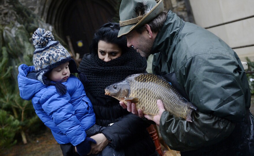 Carp is a holiday mainstay in several central European nations. Traditionally kept in the bathtub, the fish can become a sort of family pet for a day or two, before becoming dinner. Here, a street vendor shows a carp to customers in downtown Prague in December 2012.