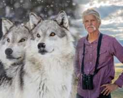 Doug Smith: 'Wild Wolves of Yellowstone'