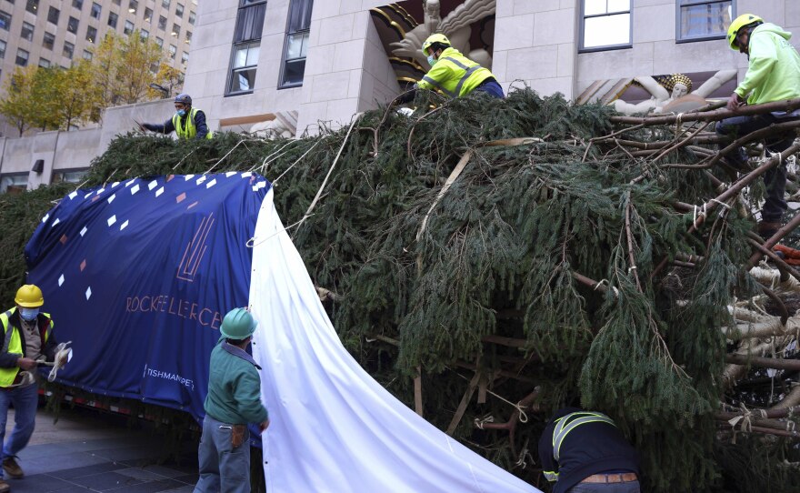 The Rockefeller Center Christmas Tree Lighting Ceremony will take place on Dec. 1.