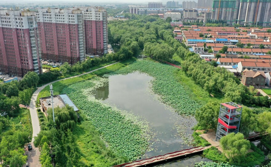 This natural pond helps reserve precipitation in the ecological corridor of Qian'an, a city in China's Hebei province. Like many other Chinese cities, Qian'an used to fall victim to urban flooding during rainy seasons. But things have changed since 2015, when the city was included in a national pilot program for "sponge city" construction.