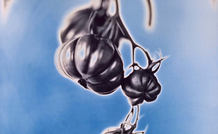 Zapotec Tomatoes