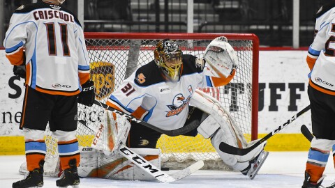 San Diego Gulls center Kyle Criscuolo (11) and goalie Olle Eriksson Ek (31) in a game against the Tucson Roadrunners at the Tucson Convention Center on March 11, 2020.