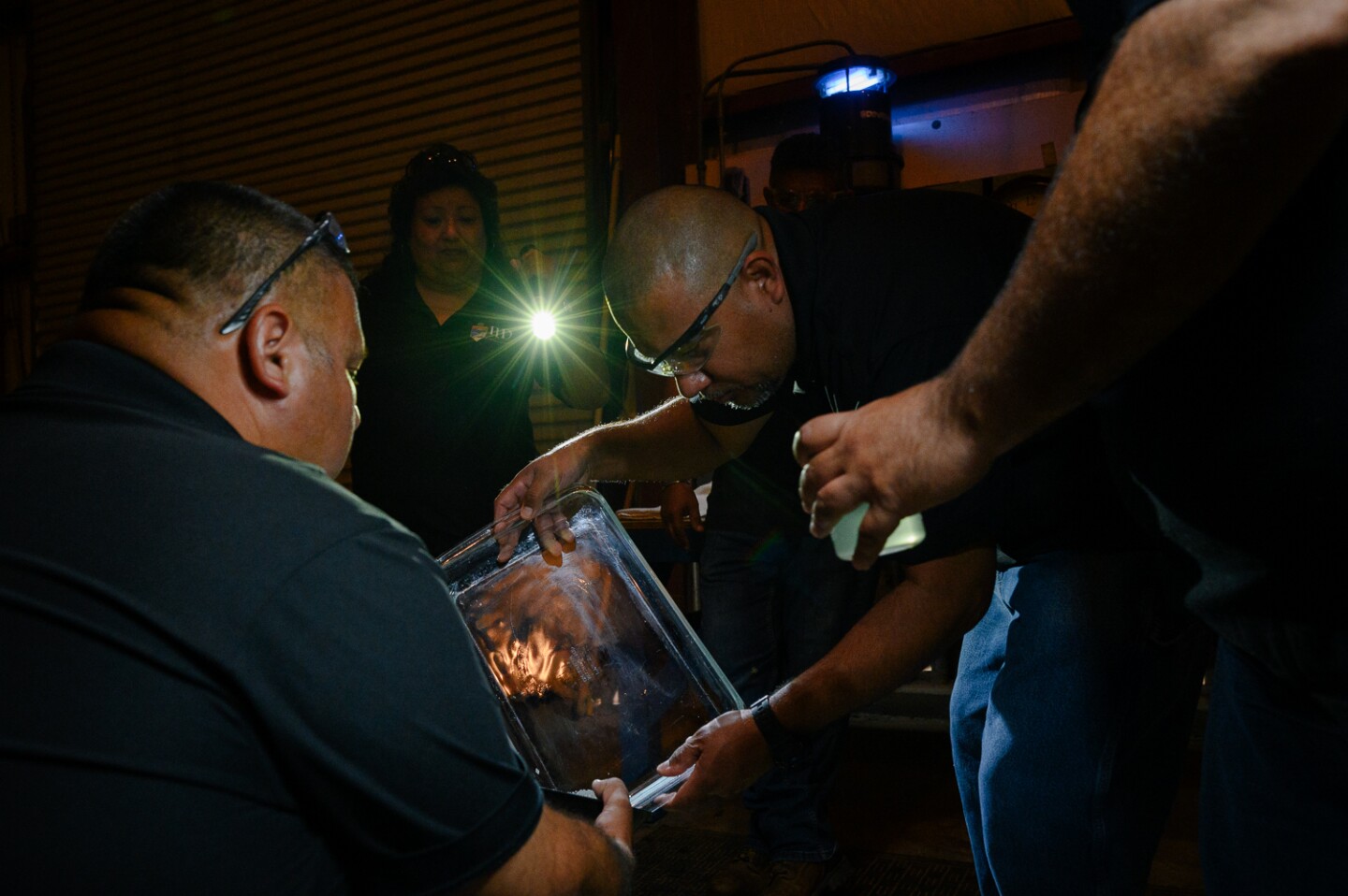 IID hatchery worker Tony Perez empties a tray of fertilized eggs into a cylinder for pressurization at the Imperial Irrigation District’s grass carp hatchery in El Centro in Imperial County on May 7, 2024.