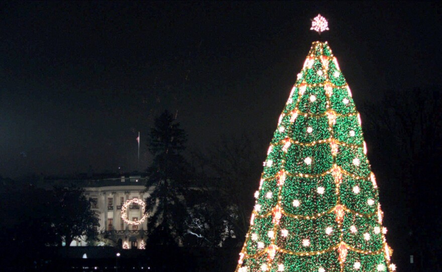 The National Christmas Tree on the Ellipse near the White House after being lit at the annual Pageant of Peace ceremony in December 2000.