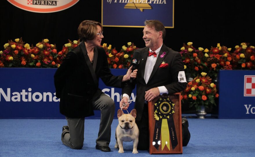 NBC's Mary Carillo (left) talks to Perry Payson, handler of Winston the French bulldog, the 2022 National Dog Show Best In Show Winner.