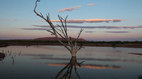 The BJ Bishop Wetland in Presidio, Texas, lies between a water treatment plant and the Rio Grande. 