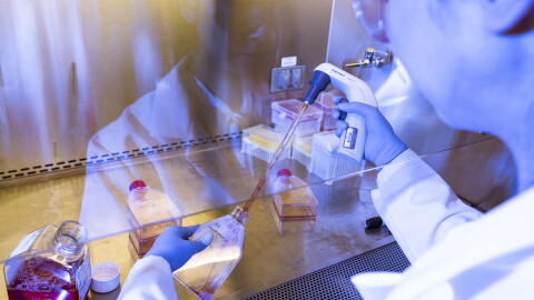 Cathy Tie, the founder and CEO of Origin Genomics, replenishes nutrients sustaining cells the New York City startup is using to test its technology for repairing defective genes.