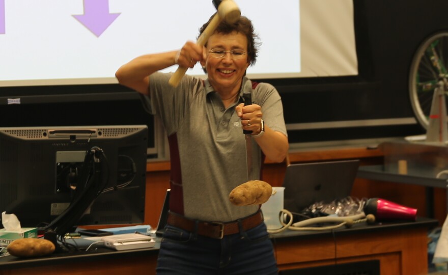 During a Summer Science Safari demonstration at Texas A&M University in 2022, Dr. Tatiana hits a knife down to make the potato go up. It's not magic, it's inertia.