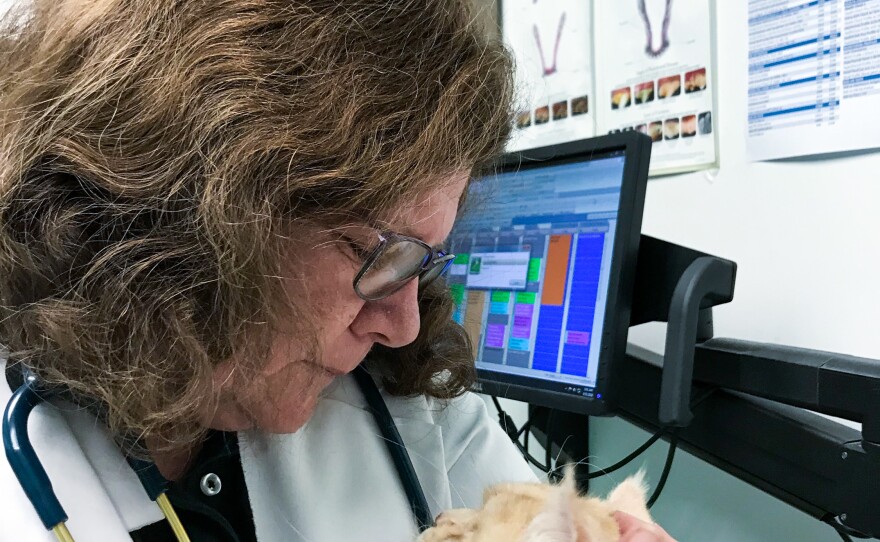 Veterinarian Kathy Gervais works 12-hour days not only caring for animals, but also helping humans emotionally cope with a sick pet.