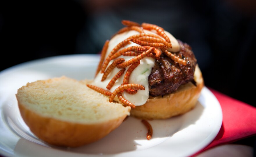 Andres Escobar, a Pestaurant attendee, enjoys a grasshopper burger garnished with Mexican spice mealworms.