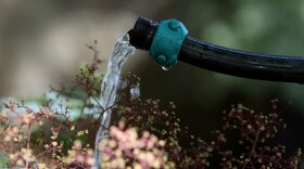 A California resident uses a hose to water plants May 13, 2008 in Berkeley, California. 
