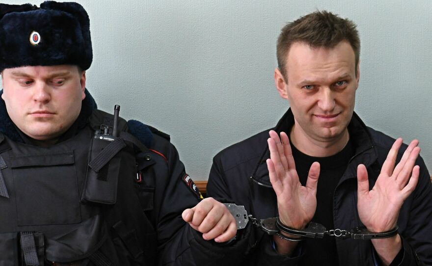Alexei Navalny rose to fame in Russia with headline-grabbing investigations into corruption in the highest levels of President Vladimir Putin's regime. Navalny (right) is seen here at a court hearing in Moscow in March 2017.