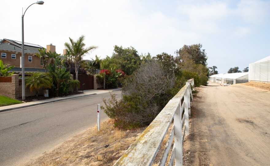 Houses in a neighborhood next to Fox Point Farms in Encinitas are shown on July 13, 2021. Residents have clashed with the operators of a hemp farm on the property.