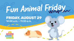 Fun Animal Friday: Mice, Hamsters, and Guinea Pigs