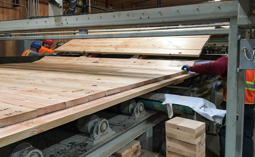 Workers at D.R. Johnson feed a layer of boards as part of the process of making CLT. They first made a small CLT panel for testing; then they made panels to sell. Johnson says within the next six to 12 months, CLT production at her company should create 20 new jobs.