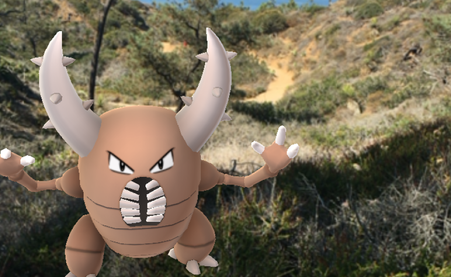 Pokémon Go players found a Pinsir, a type of Pokémon, during a hike July 17, 2016 at Torrey Pines State Natural Preserve.
