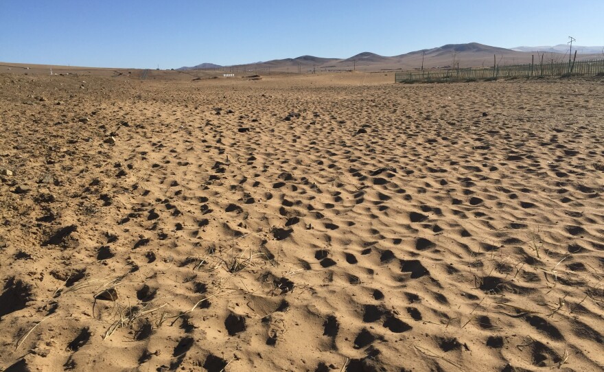 In the place where Bish has pitched her ger, or tent, the effects of overgrazing are obvious. Sand dunes appear where grass used to grow.