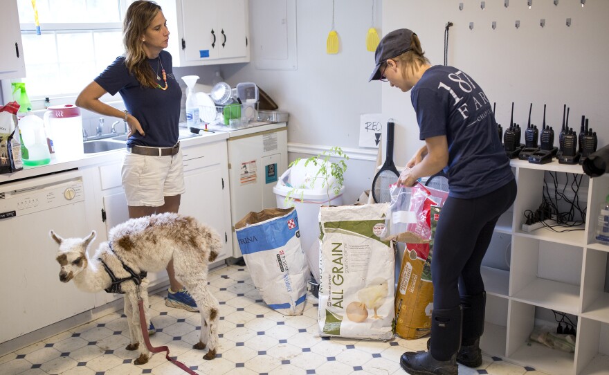 McKee (left) and Breindel discuss preparations for Hurricane Florence while Xanadu tags along.