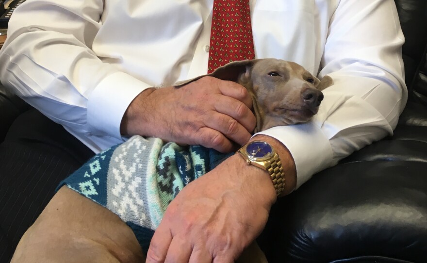 Republican Rep. Ken Calvert of California with dachshund Cali. She likes to stow away treats under couch cushions. "You never know when tough times are going to come around. She's a saver," he says.