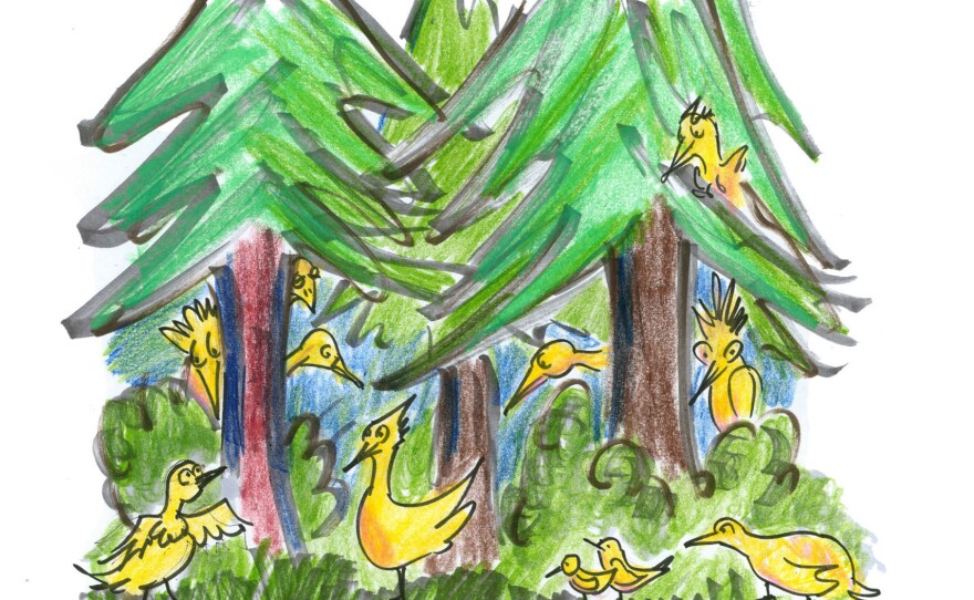 Birds in the forest.