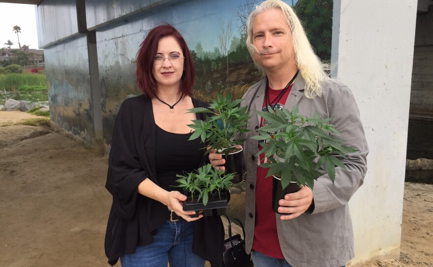 David and Amber Newman, owners of medicinal marijuana grower A Soothing Seed Collectiveare shown in this photo, July 25, 2017.