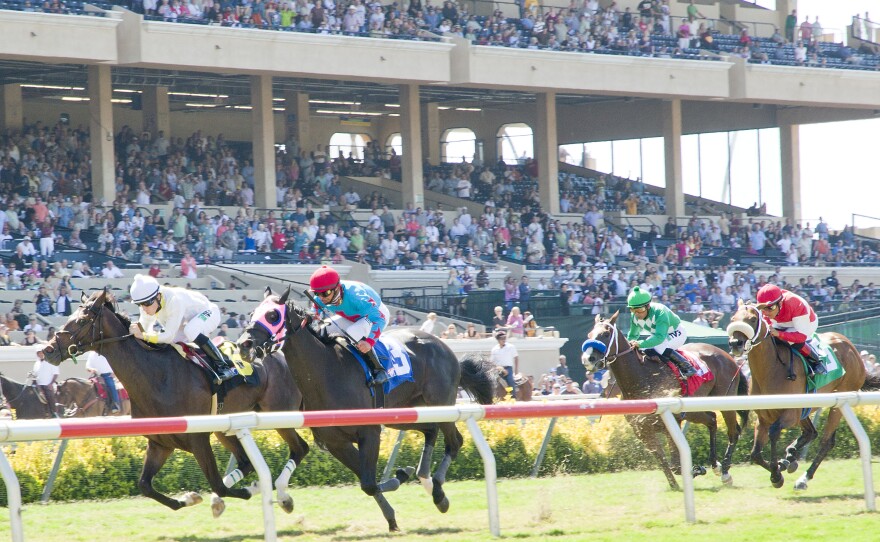 Horses run in front of the grandstand at the Del Mar race track, August 2011.