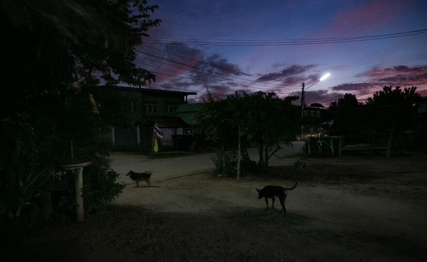Dogs roam at sunset outside A's grandmother's house in a rural village in the Isaan district. A says life in the countryside is not as much fun as in Phuket, the tourist island known for its nightlife where she lived and worked for most of the last eight years, but that living in her small village close to her family is its own kind of happiness.
