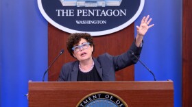 Lynn Rosenthal, chair of the Pentagon’s sexual assault independent review committee, speaks to the media July 2 about proposed changes in military sexual assault and harassment investigations.