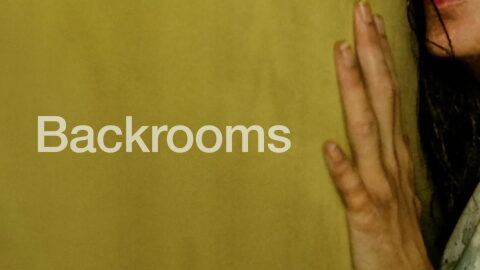 'Backrooms: Everything Must Go Edition'